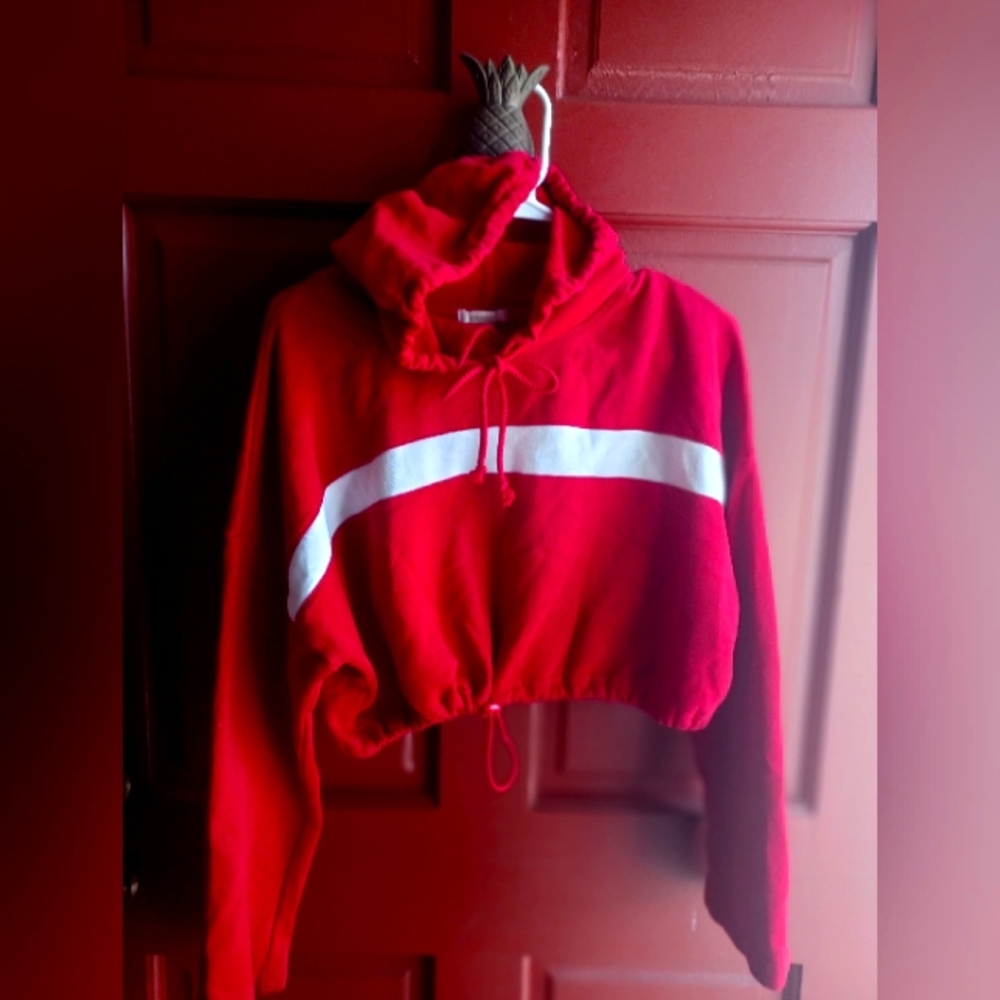 Red Cropped Hoodie Sweatshirt